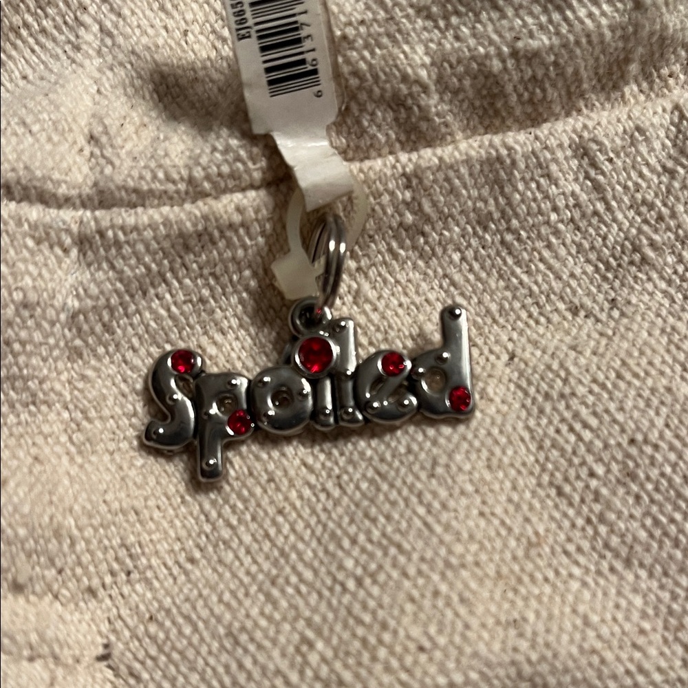 Silver 'Spoiled' Pendant with Red Accents